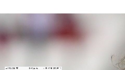 Amr Warda fue apartado de la selección de Egipto tras darse a conocer videos y chats que lo delatan