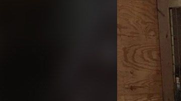 La jirafa Abril con una de sus crías