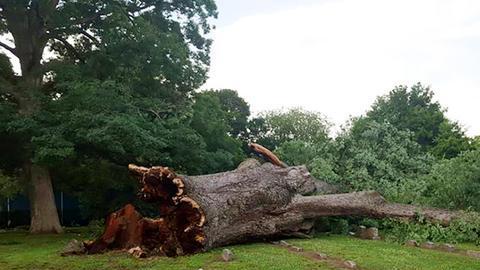 Su salud se venia deteriorando los últimos 100 años