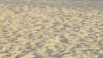 Candela Aylen Saccone,