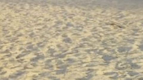 Candela Aylen Saccone,