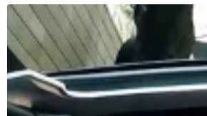 La “Chica Badabun” recorrió la Ciudad de México con el Escorpión Dorado.