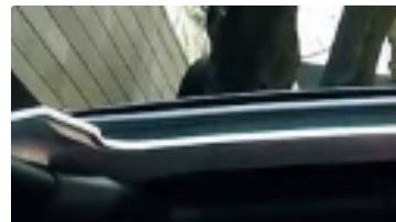 La “Chica Badabun” recorrió la Ciudad de México con el Escorpión Dorado.
