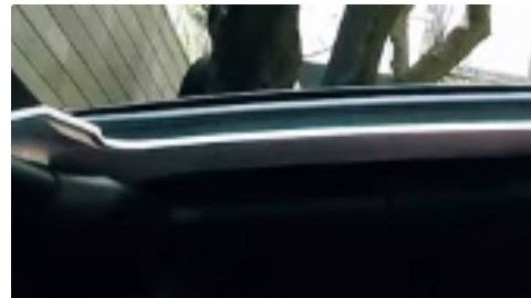 La “Chica Badabun” recorrió la Ciudad de México con el Escorpión Dorado.