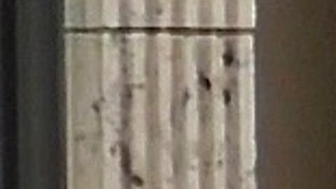 La actriz se paseó por Los Ángeles con sus hijos Zahara, Shiloh y Vivienne