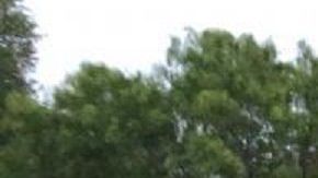 El rescate se realizó el 10 de junio tras recibir una llamada del 911.