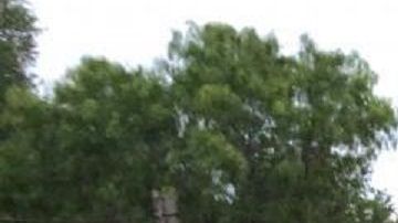 El rescate se realizó el 10 de junio tras recibir una llamada del 911.