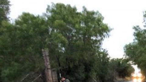 El rescate se realizó el 10 de junio tras recibir una llamada del 911.