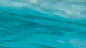 La contaminación de los mares con plástico es alarmante.