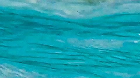 La contaminación de los mares con plástico es alarmante.