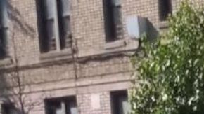 NYPD revisa la escena en Concourse Village