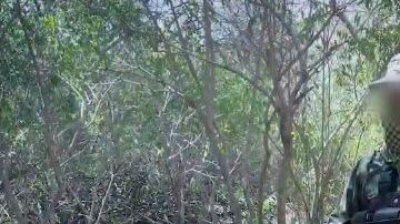 El sicario argumentó que su sueldo es bajo.