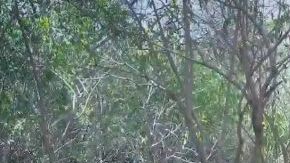 El sicario argumentó que su sueldo es bajo.