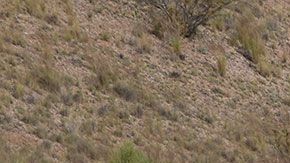 El mal diseño de un artículo afectaba la productividad de los empleados.