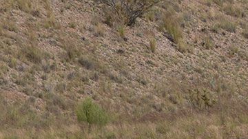 El mal diseño de un artículo afectaba la productividad de los empleados.