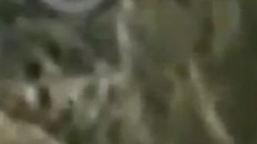 La mujer amenazó a la madre con quitarle la custodia de su hijo.