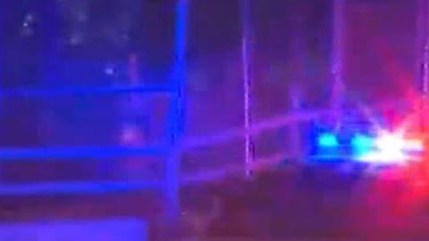 La víctima se negó a detener su furgoneta en el puerto de entrada y abrió fuego contra los agentes