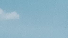 Es un mundo de autos abandonados