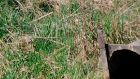 Los cárteles quieren controlar todo el dinero que ingresa por la distribución de agua.