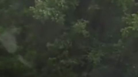 La serpiente al pasar por las cabezas de la pareja.