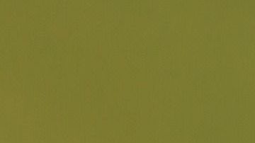 La marae de catarinas fue observada el 4 de junio del 2019.