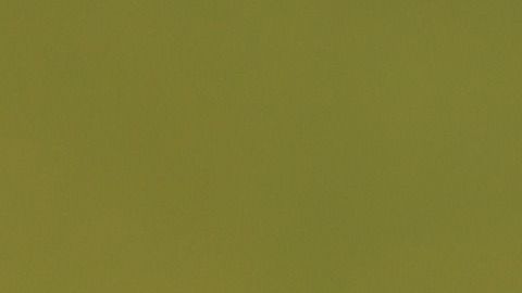 La marae de catarinas fue observada el 4 de junio del 2019.