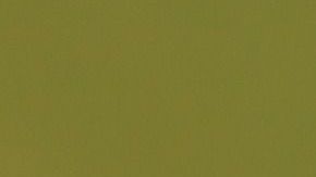 La marae de catarinas fue observada el 4 de junio del 2019.