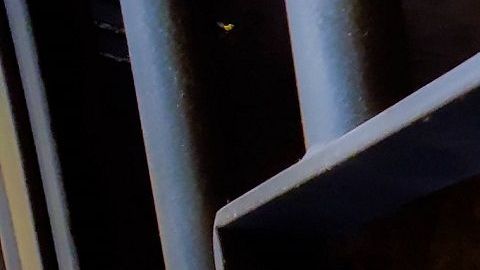 La empresa toma un hecho real para ofrecer 60 minutos de adrenalina.