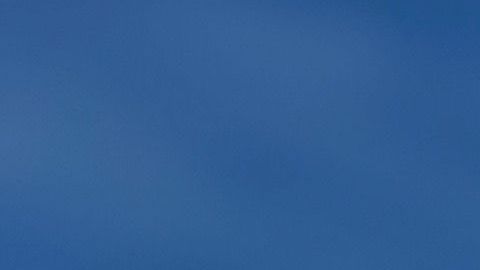 Clarissa Molina, estrella de la película "Qué León"