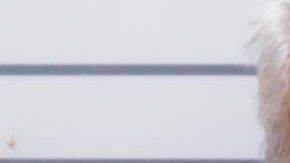 Henri Piette se enfrenta a cadena perpetua.