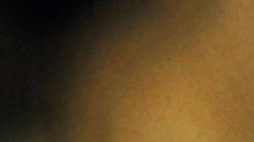 Serpiente cabeza de cobre.