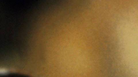 Serpiente cabeza de cobre.