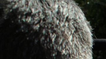 Vicente Fox, expresidente de México.