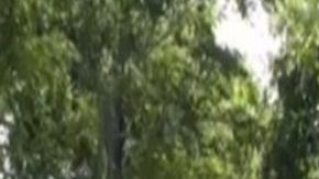 Crimen estilo narco: decapitan a sobrino de político mexicano, joven tenía 23 años