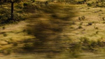 La marca británica y la marca alemana se unen para desarrollar tecnología eléctrica