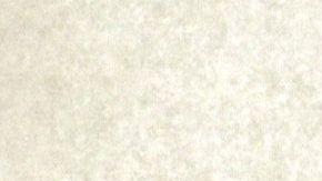 El reverendo Augustus Tolton.