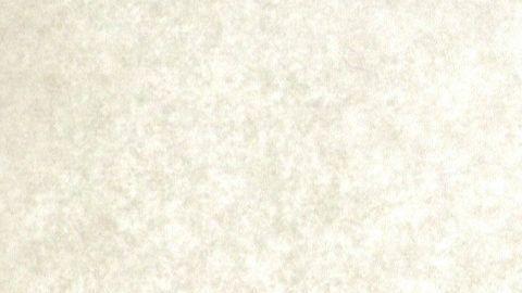 El reverendo Augustus Tolton.