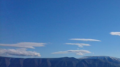 Los perros deben abrirse camino entre las aguas.
