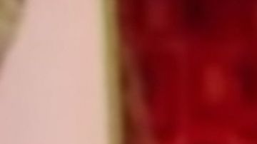 Edith González en "La Familia Peluche"