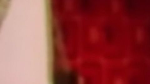 Edith González en "La Familia Peluche"