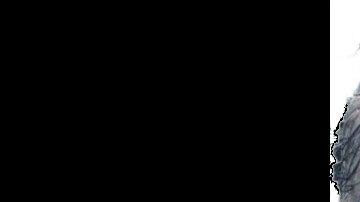 Fue detenido en Tampico.