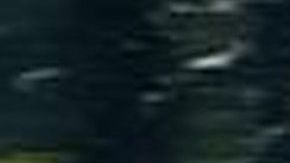 "El Señor de los Cielos"