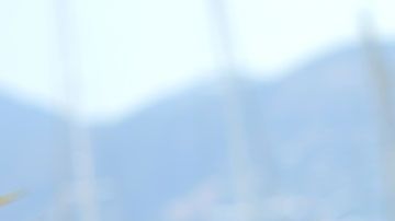 Además de su gran fortuna, el artista es bien conocido por sus gastos extravagantes.