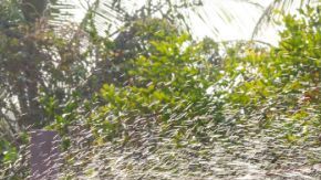 No te dejes engañar por estos empleos, pues aunque parecen inofensivos, podrían llegar a ser peligrosos.