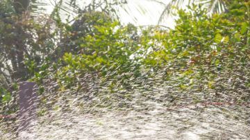 No te dejes engañar por estos empleos, pues aunque parecen inofensivos, podrían llegar a ser peligrosos.