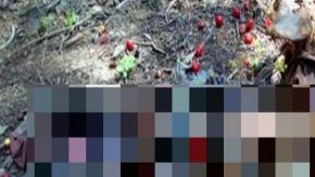 Familia Tepantitlán Guerrero aparece quemada