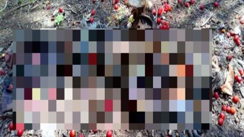 Familia Tepantitlán Guerrero aparece quemada