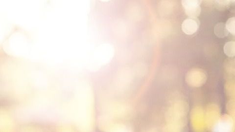 El GPS envía una notificación al dispositivo con el que está conectado.