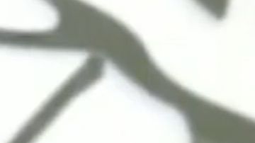 Frida Sofía en entrevista para "El Gordo y La Flaca"