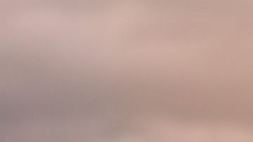 La muerte de un perro implica decir adiós a muchas cosas.